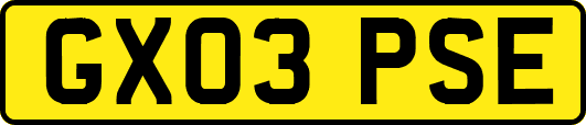 GX03PSE