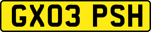 GX03PSH