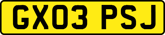 GX03PSJ