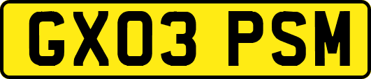 GX03PSM