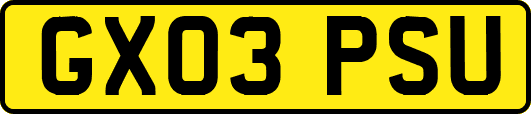 GX03PSU