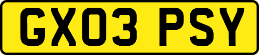 GX03PSY
