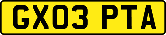 GX03PTA