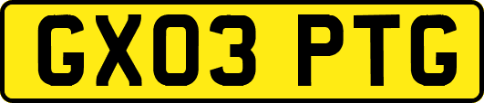 GX03PTG