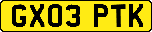GX03PTK