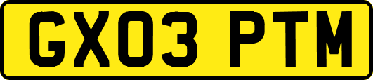 GX03PTM