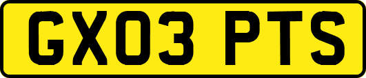 GX03PTS