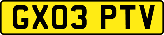 GX03PTV