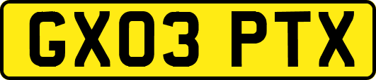 GX03PTX