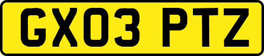 GX03PTZ