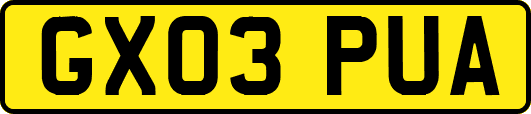 GX03PUA