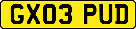 GX03PUD