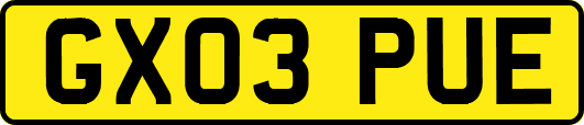 GX03PUE