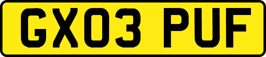 GX03PUF