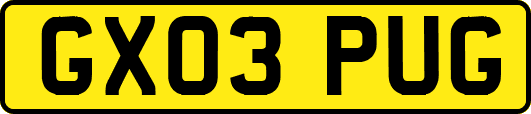 GX03PUG