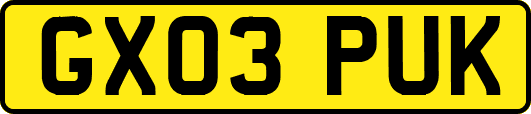 GX03PUK