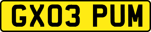 GX03PUM