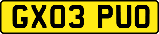 GX03PUO