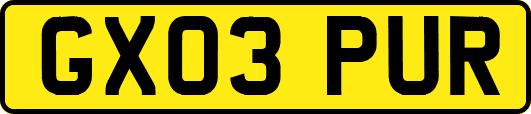 GX03PUR