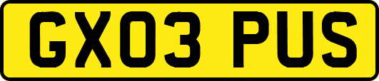 GX03PUS
