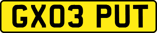 GX03PUT