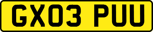 GX03PUU
