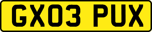GX03PUX