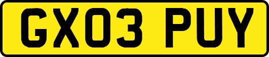 GX03PUY
