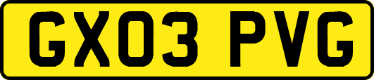 GX03PVG