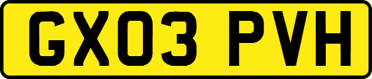 GX03PVH