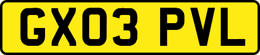 GX03PVL