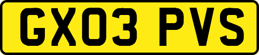 GX03PVS
