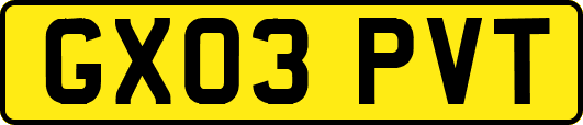 GX03PVT