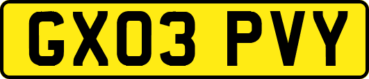 GX03PVY