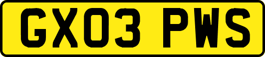 GX03PWS