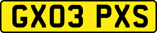 GX03PXS
