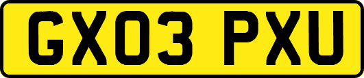 GX03PXU