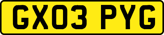 GX03PYG