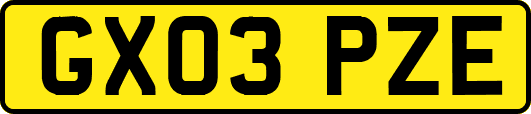 GX03PZE