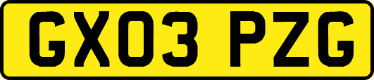 GX03PZG
