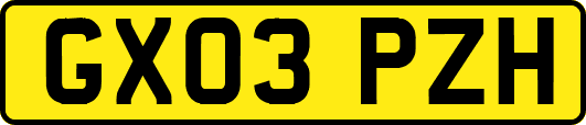 GX03PZH