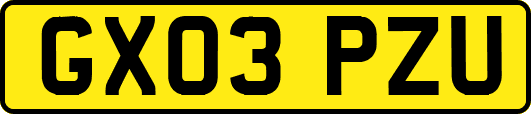 GX03PZU