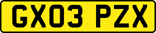 GX03PZX