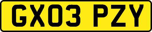 GX03PZY