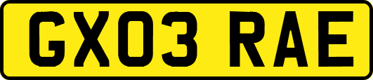 GX03RAE