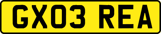 GX03REA