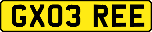 GX03REE