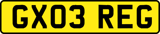 GX03REG