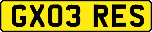 GX03RES
