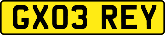 GX03REY
